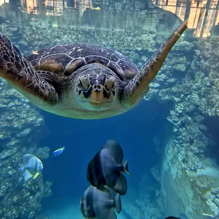 Ferienidyll An Der Recknitz דירה Tessin